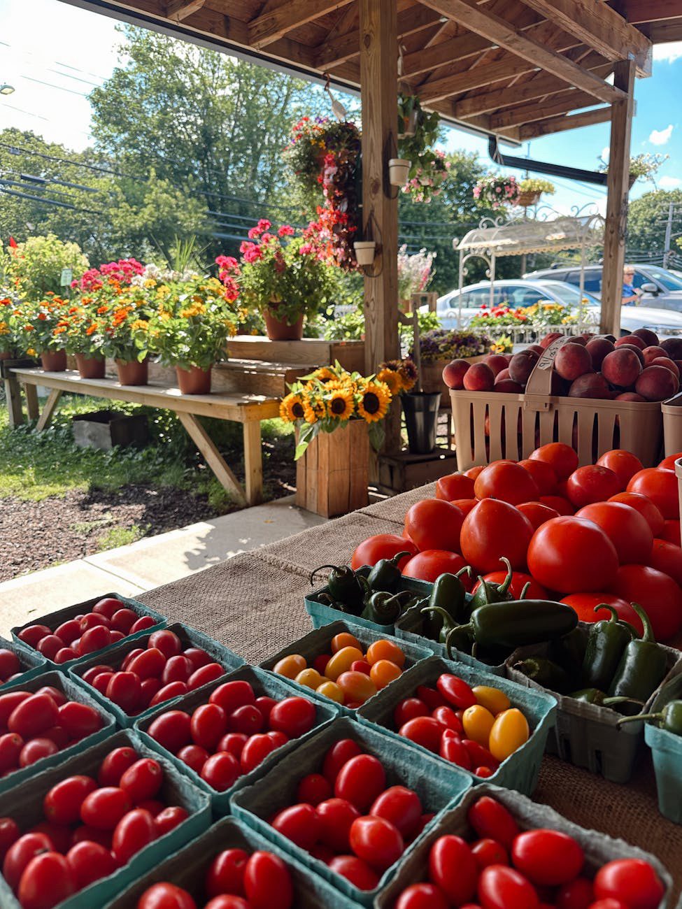 Farm Layout Ideas: Site Plan Designs for Your Homestead