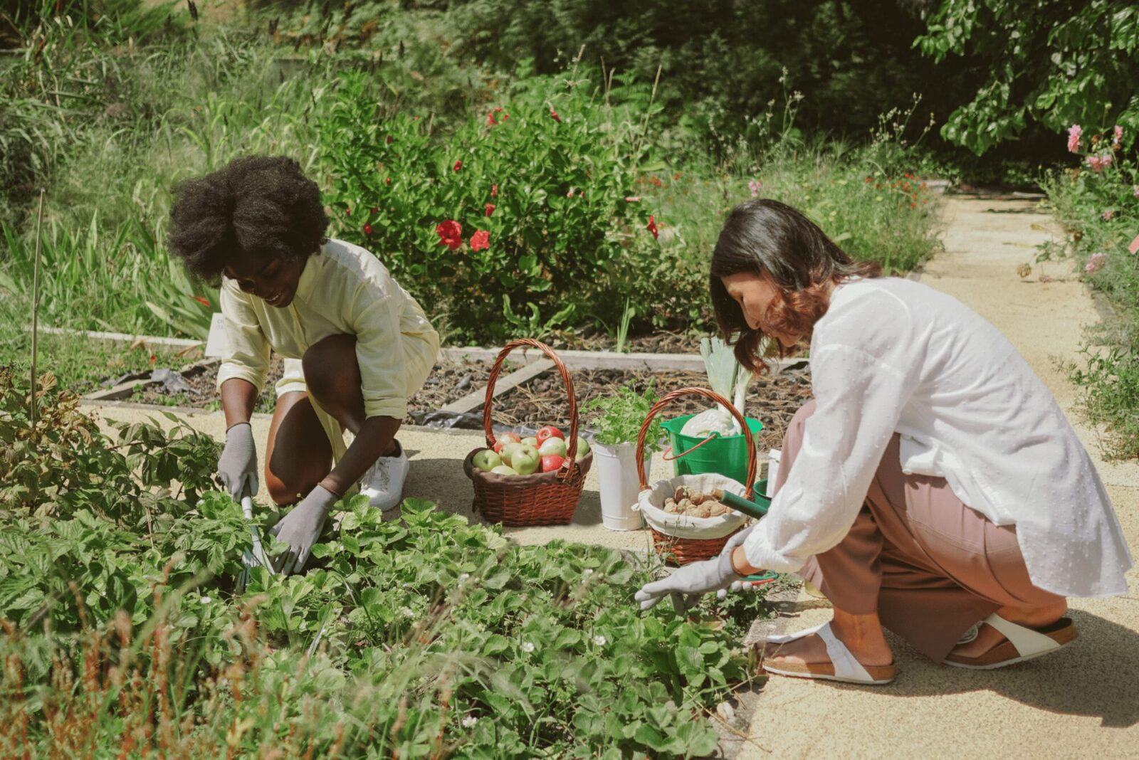untitled design 11 1 Gardening 101: 9 Simple Steps to a Fantastic First Season!