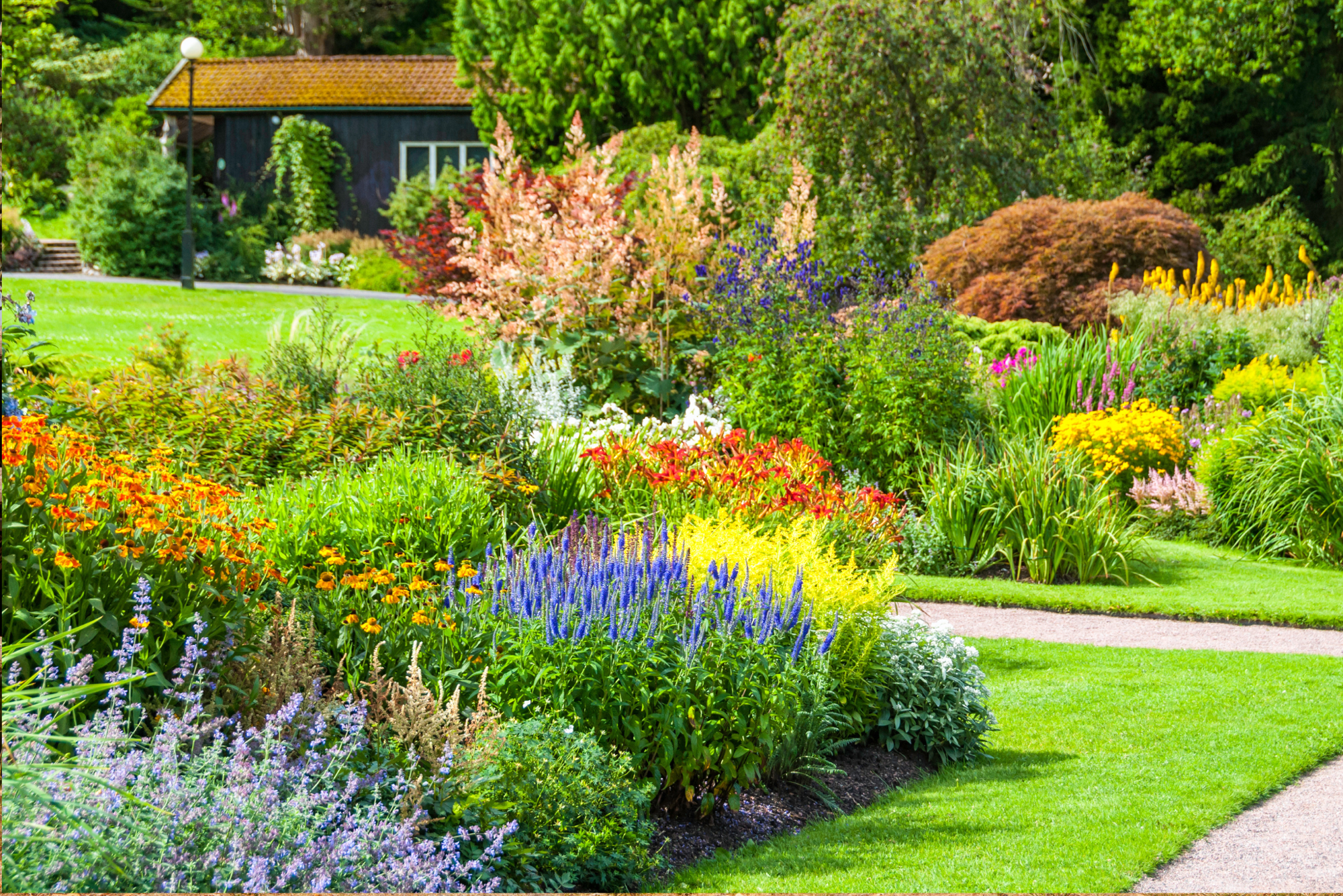 Top 20 Flowers for a Cottage Garden