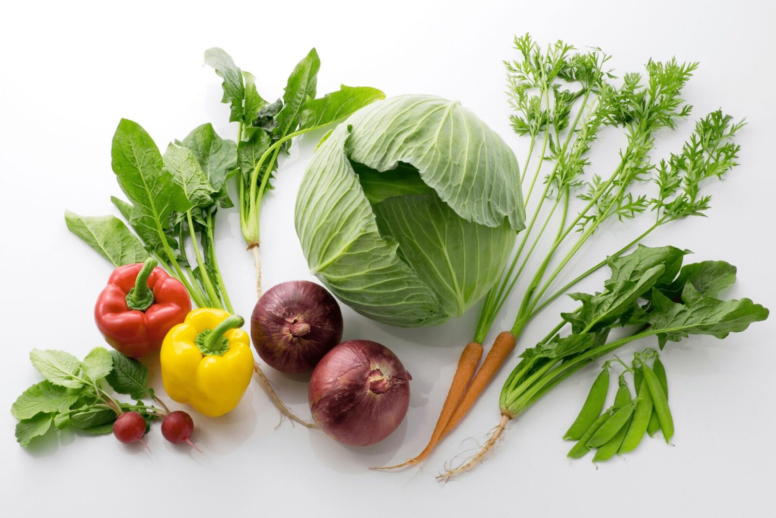 untitled design 4 1 1 Plant Friend or Foe: Companion Planting in the Vegetable Garden