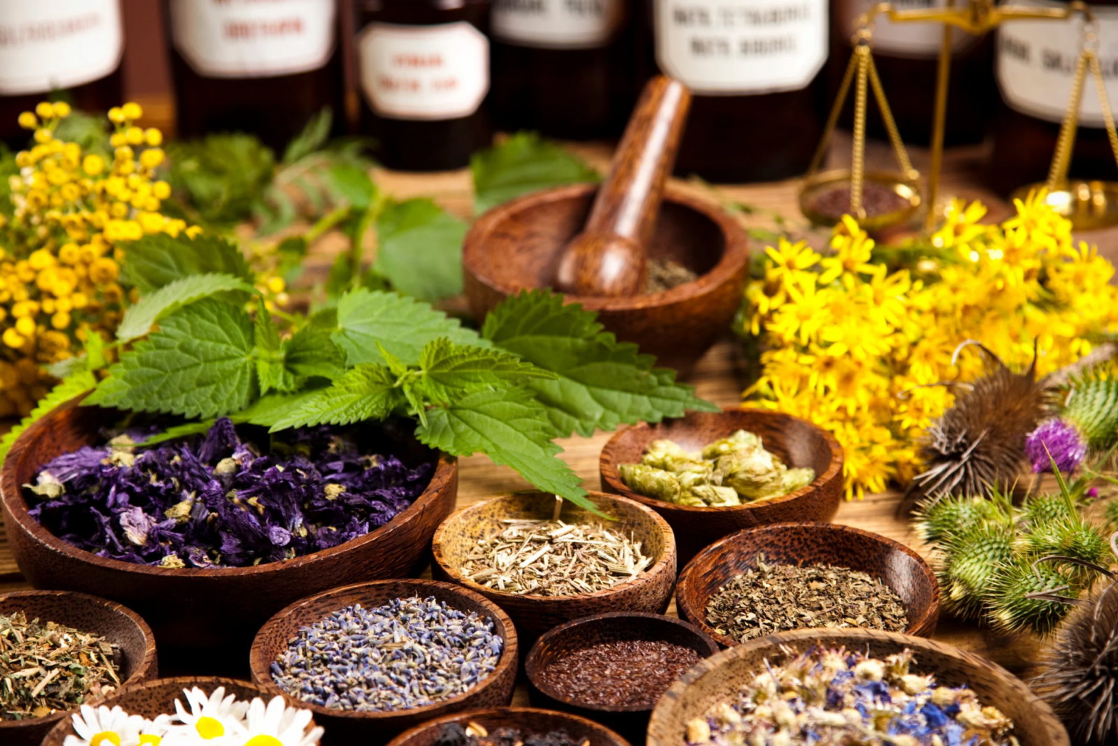 untitled design 4 1 90 Unique Spices to Grow in Your Herb Garden