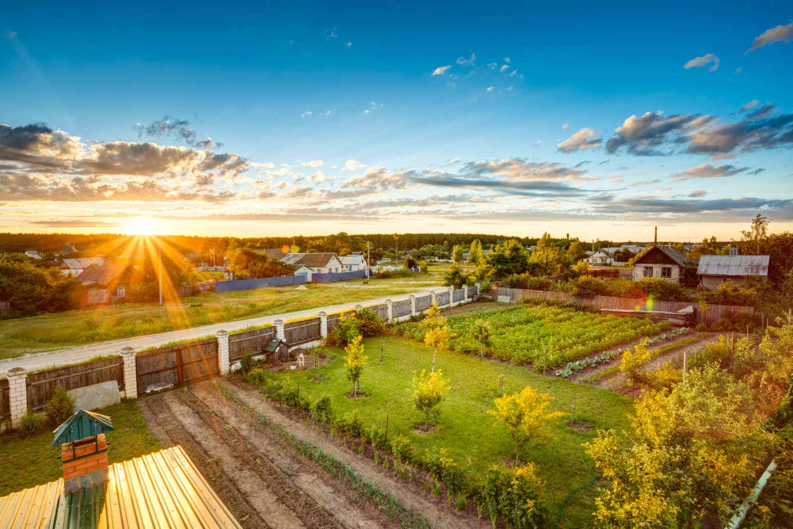 Permaculture Farm