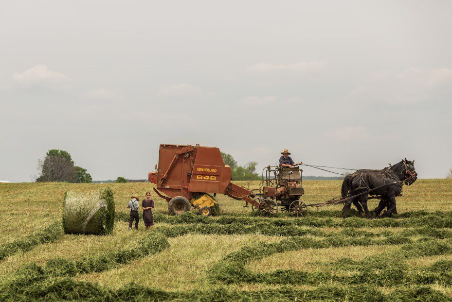 The Art of Homesteading Relaxation