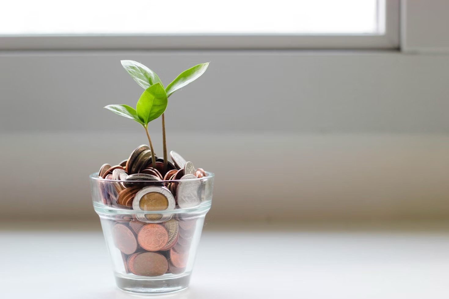 img 8803 1 5 Ways to Save Money and Achieve Financial Freedom