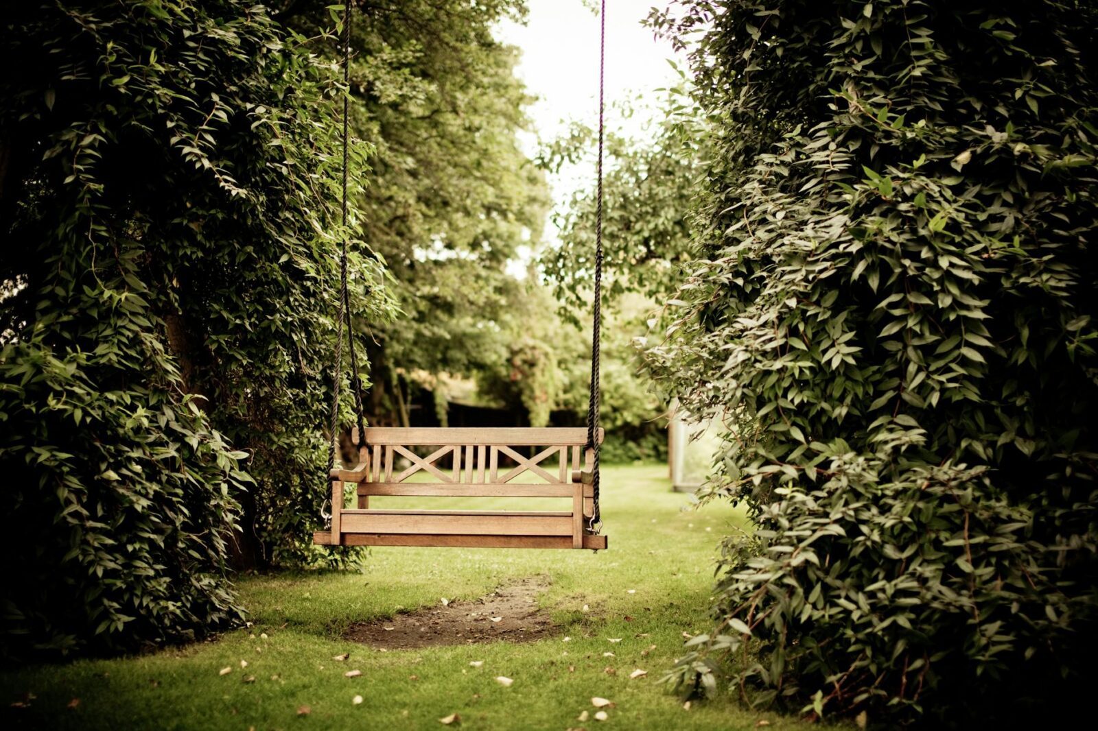 gazebo against trees how to avoid problems in the garden
