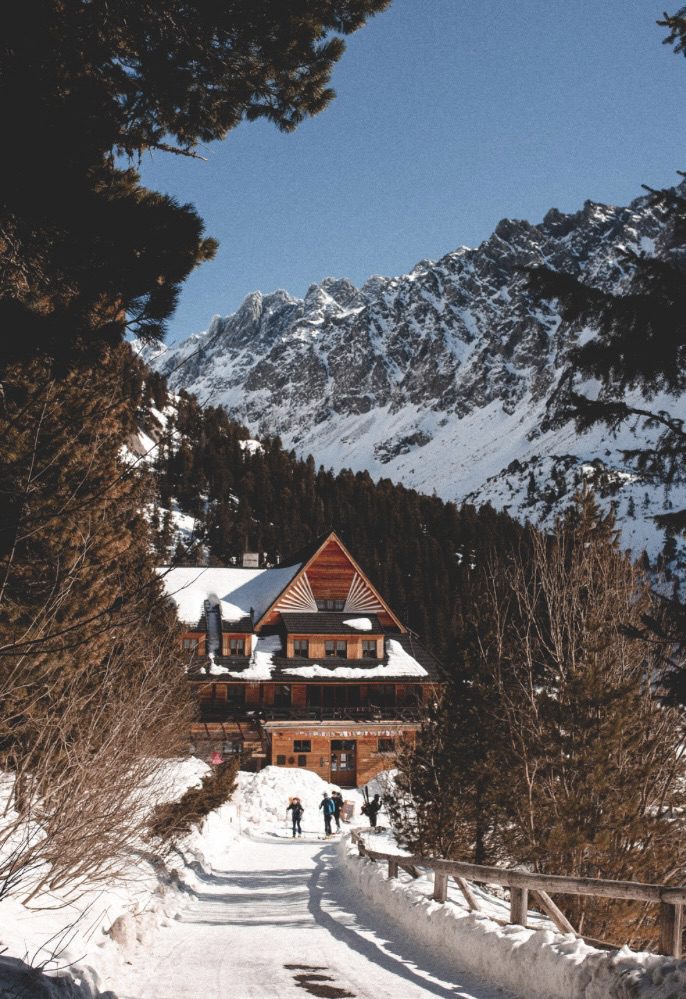 Luxury Real Estate Ski Lodge