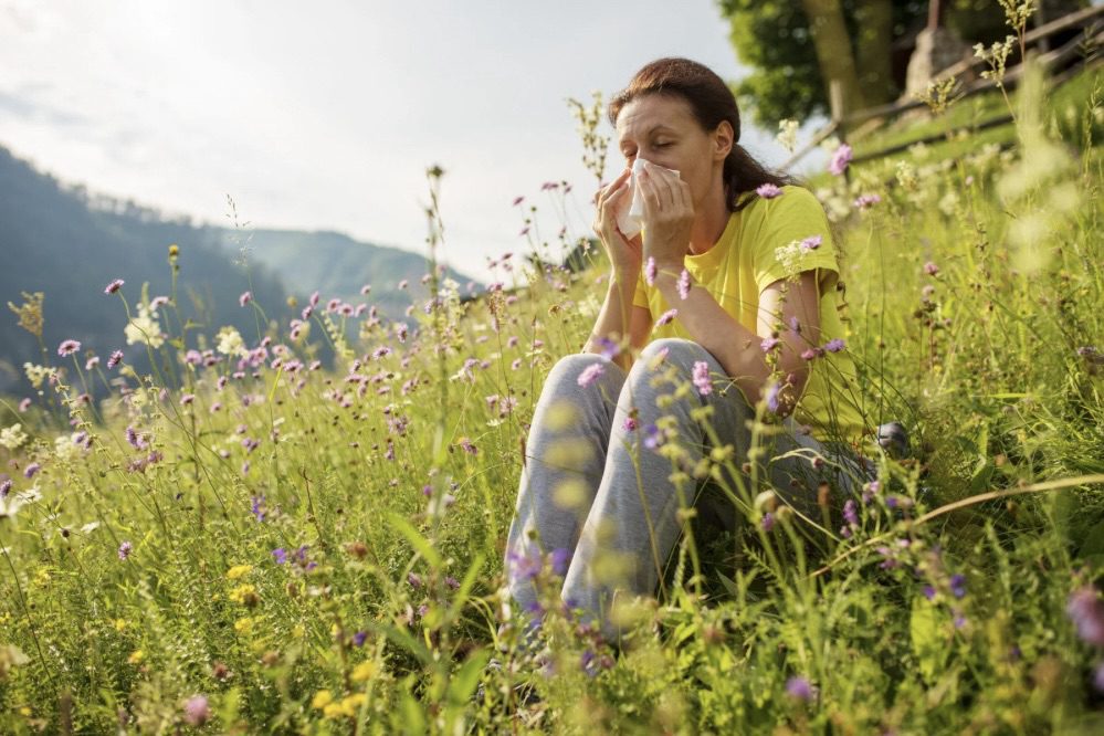 How to Combat Indoor Allergies and Pollen this Spring