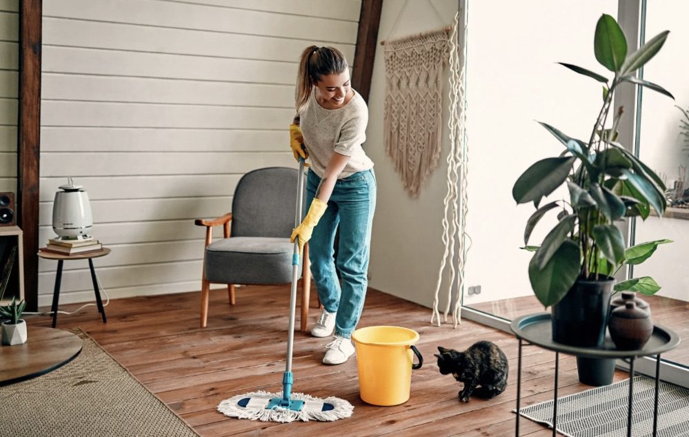 How to Combat Indoor Allergies and Pollen this Spring