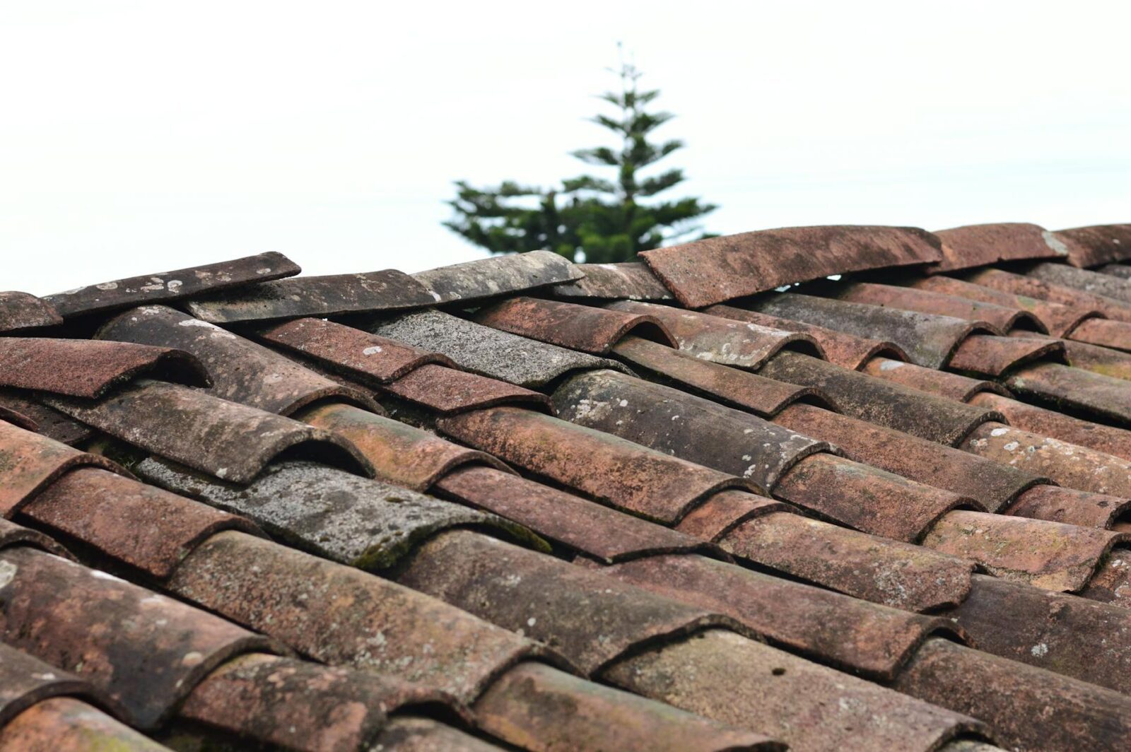 selective focus photo of brown roof shingles Urgent Home Repair Warning Signs You Shouldn’t Ignore