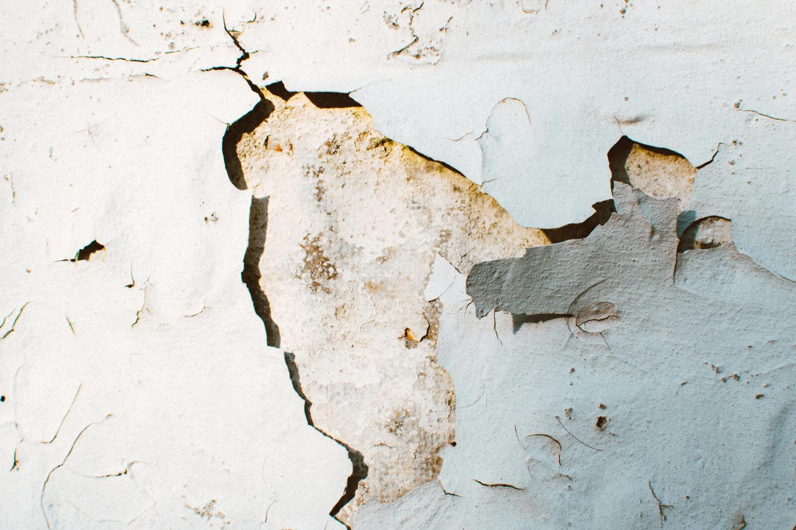 two brown and white stones Urgent Home Repair Warning Signs You Shouldn’t Ignore