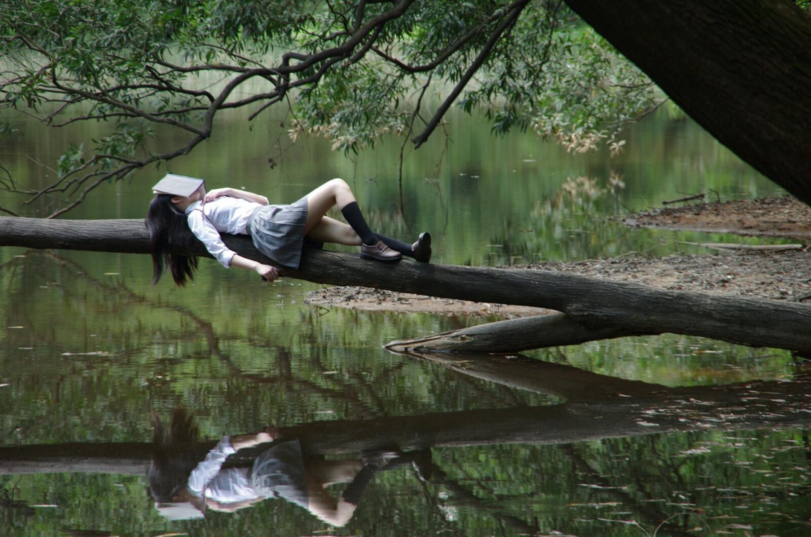 woman lying on tree near awter