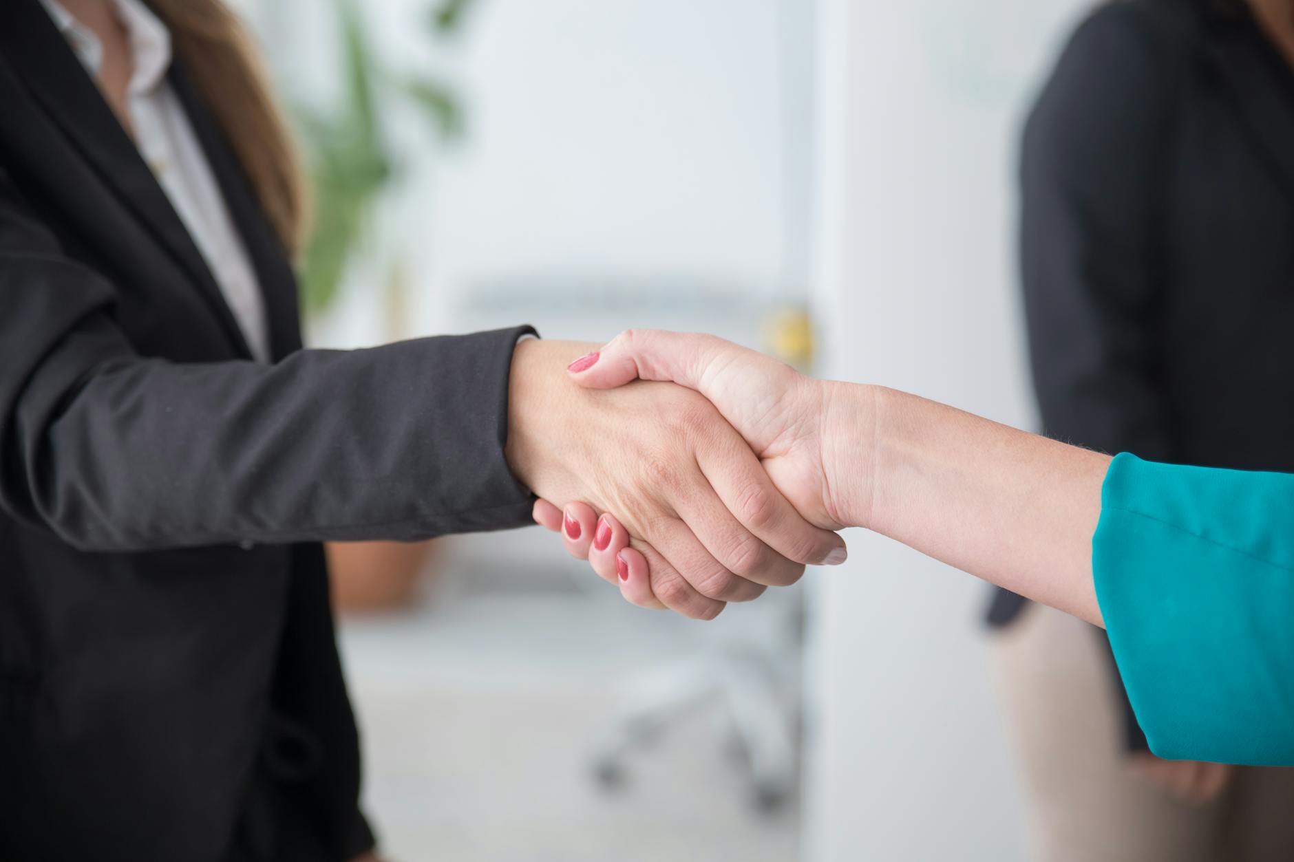 close up shot of a handshake