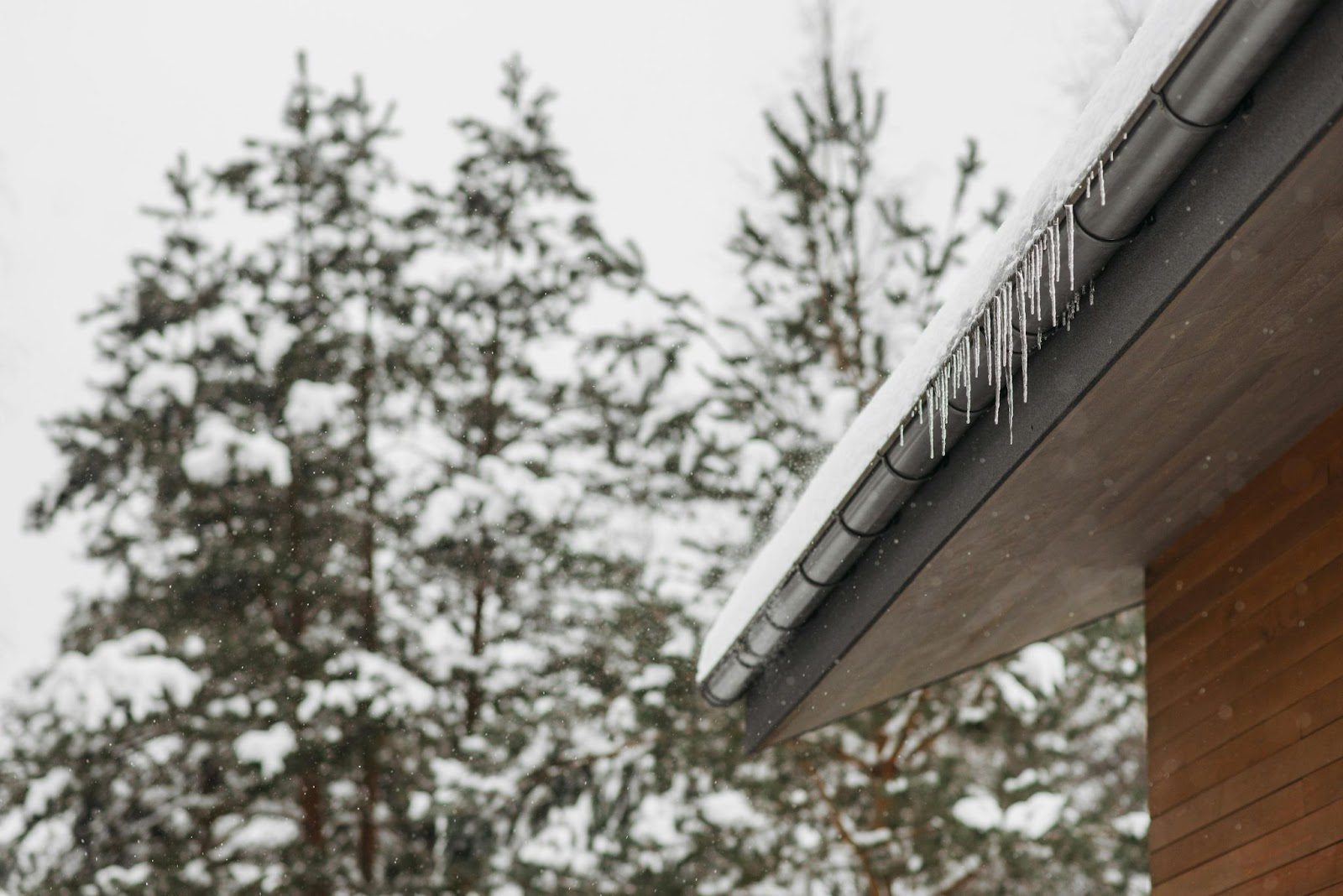 Everything You Need to Know About Gutter Maintenance in a Nutshell