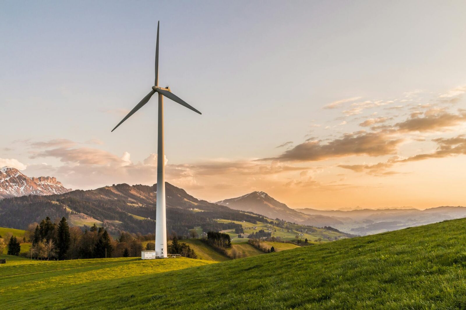 white windmill How To Make Your Company More Energy Efficient And Carbon-Friendly
