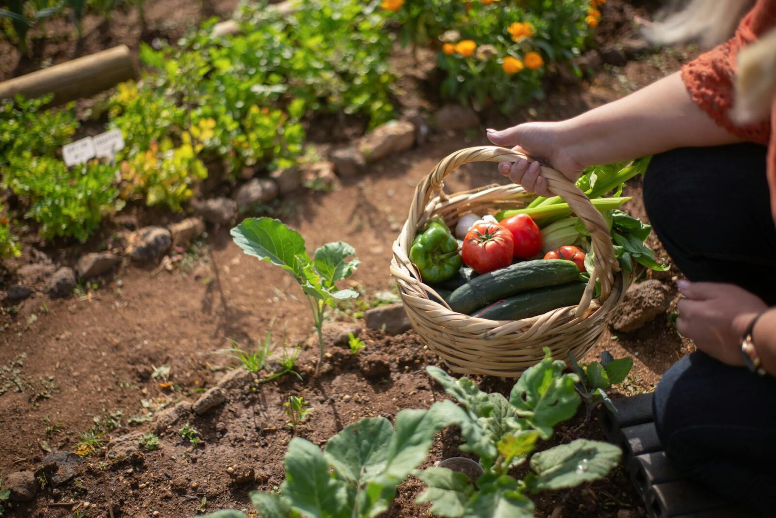 person holding a basket at a garden DIY Garden Fails to Avoid for a Stunning Summer Yard