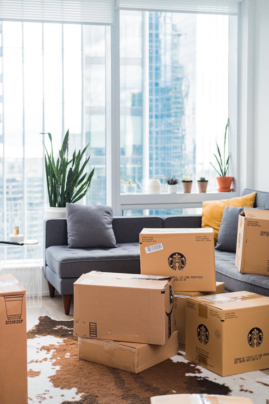 cardboard boxes on living room Budgeting for Shared Living: What to Expect and How to Split Costs