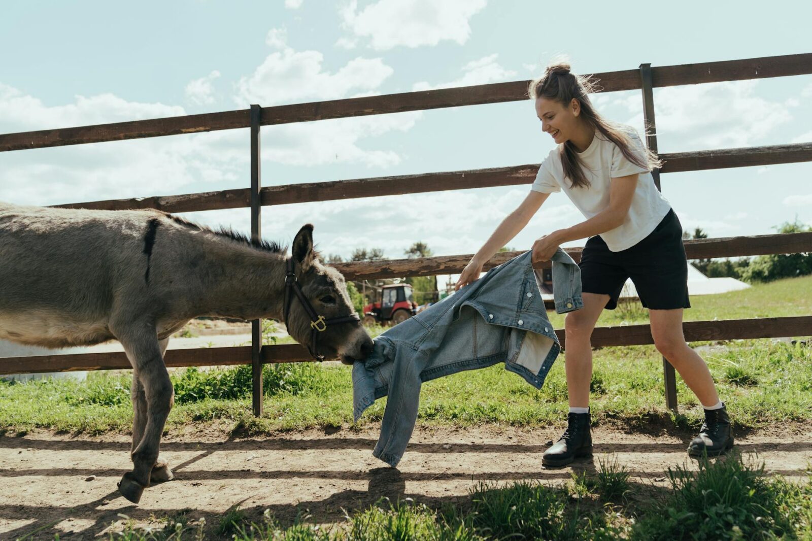 woman in white t shirt and blue denim jeans standing beside horse How To Find Your Dream Property For Starting A Homestead