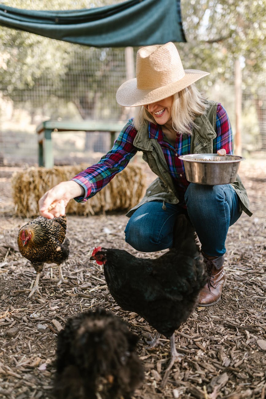woman feeding chickens on farm How To Find Your Dream Property For Starting A Homestead