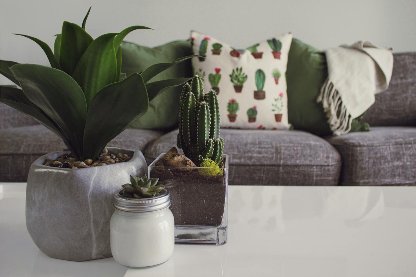 photo of plants on the table 5 Easy Home Design Tips to Refresh Your Space