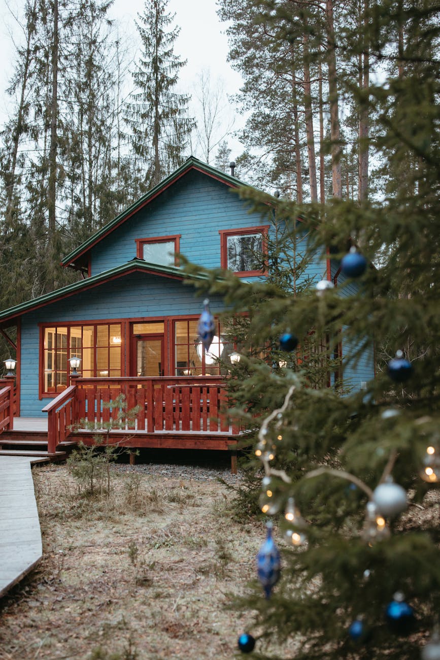 tree with christmas decorations outside a house How You Can Seamlessly Prep Your Home for Seasonal Changes