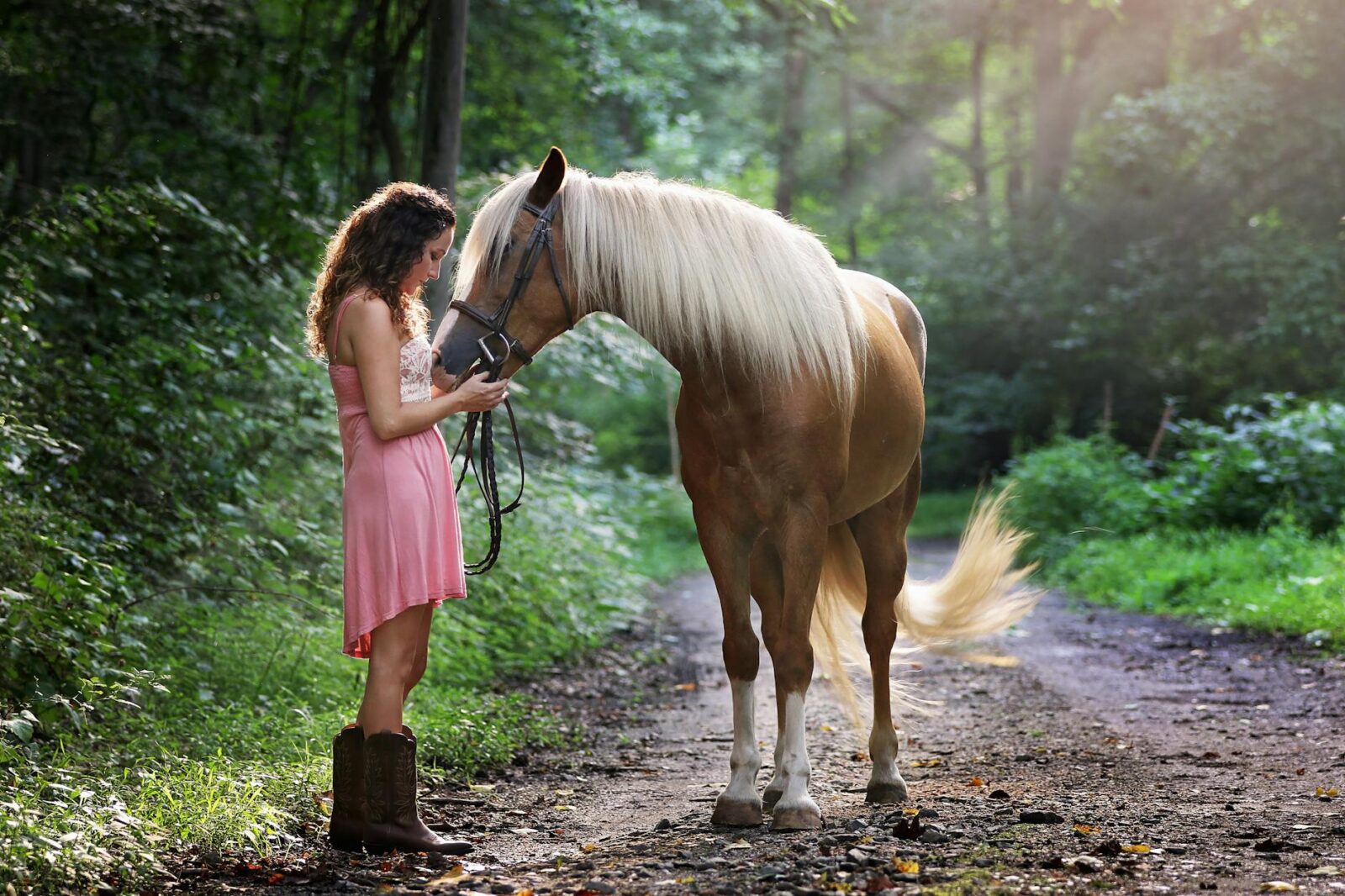 woman wearing pink dress standing next to brown horse Owning a Horse: Breeds, Care, Supplies, Tack, and Equipment