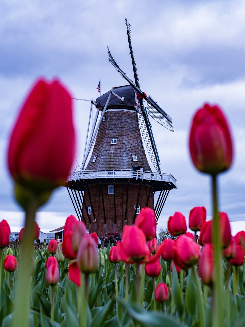 brown and black windmill Moving to Michigan: Migration Trends and Top Destinations