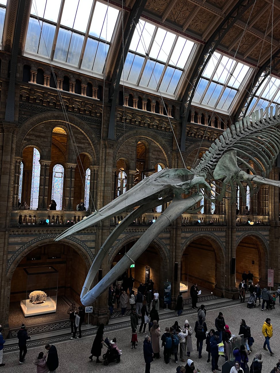 whale skeleton in iconic museum hall 7 Fun Family Vacation Ideas Your Kids Will Love