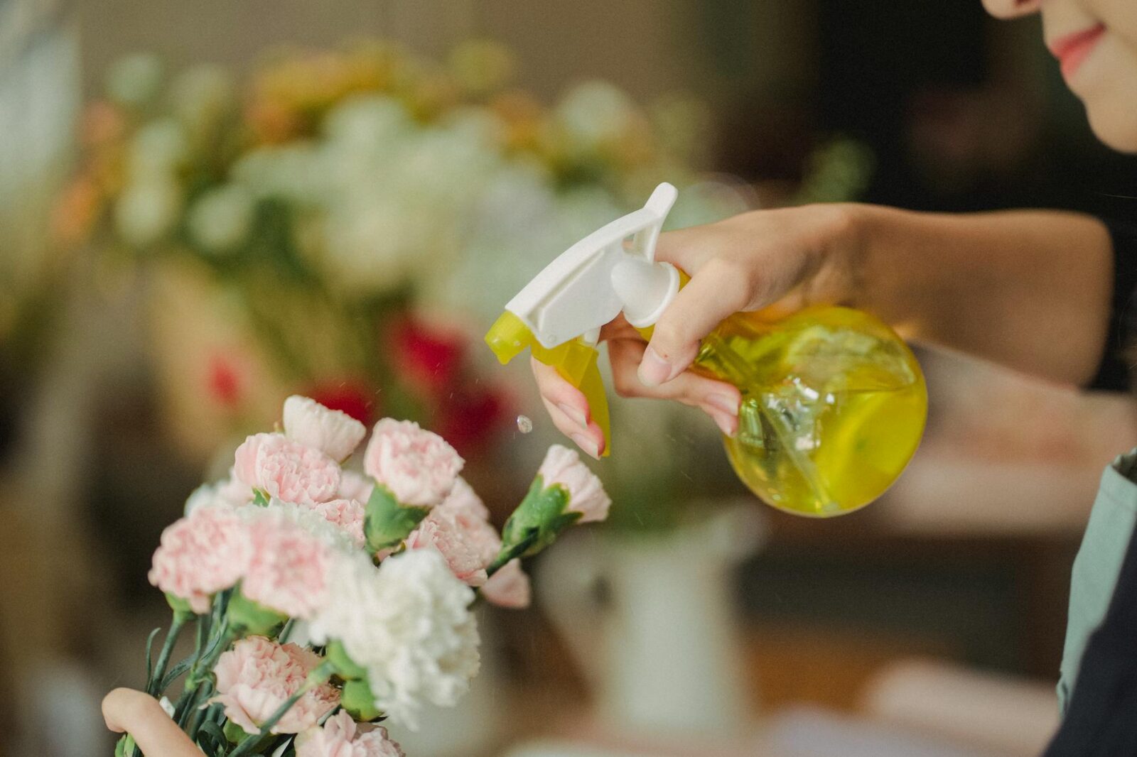crop woman spraying flowers in shop How to Create a Wildlife Friendly Garden in Your Own Yard