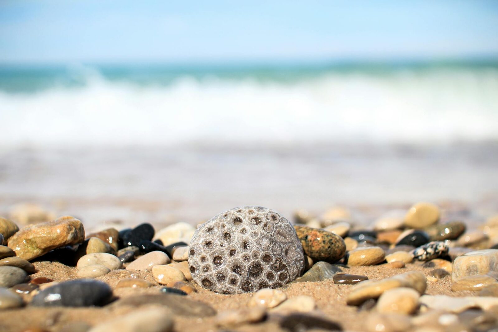 Lake Michigan petoskey stone Moving to Michigan: Migration Trends and Top Destinations