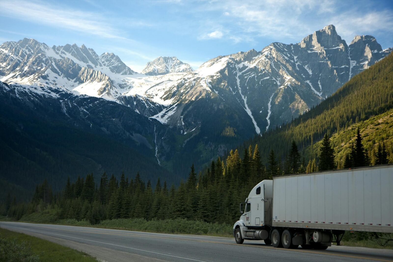 white dump truck near pine tress during daytime Are You Cut Out to be a Truck Driver? A Realistic Look at the Career