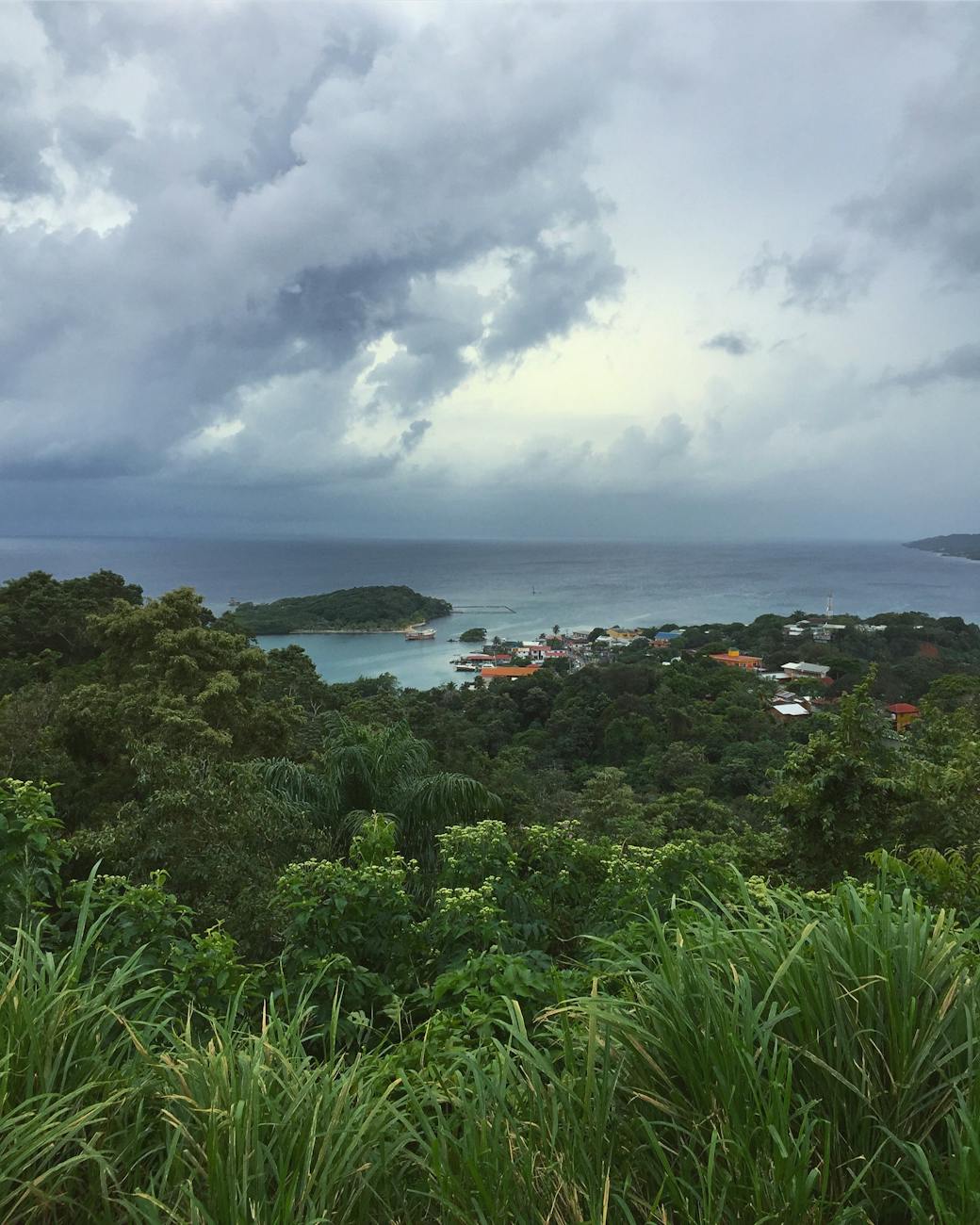 seaside town surrounded by forest Why Honduras Property Investment Is a Smart Choice for Your Real Estate Portfolio