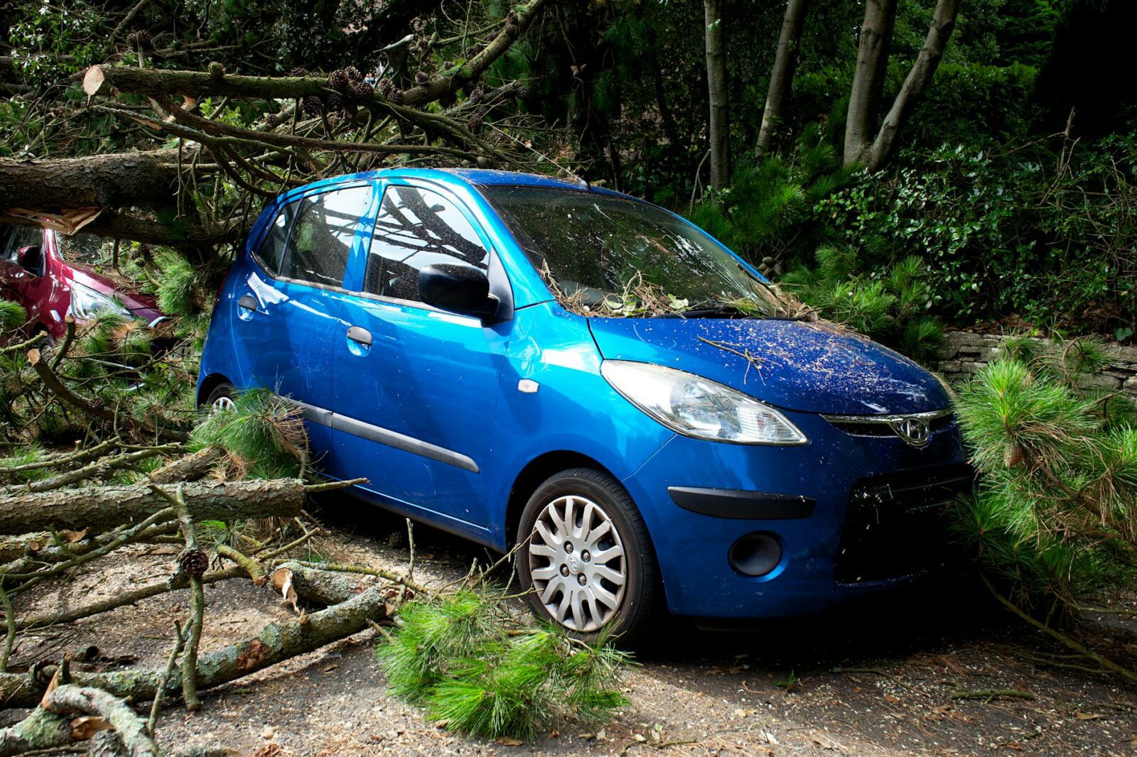 What to Do After a Car Accident: Step-by-Step Checklist