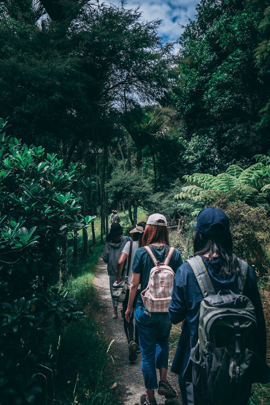 people wearing backpacks walking on pathway near green leaf plants Sabbatical Planning Tips: How to Relax, Travel, and Find New Purpose