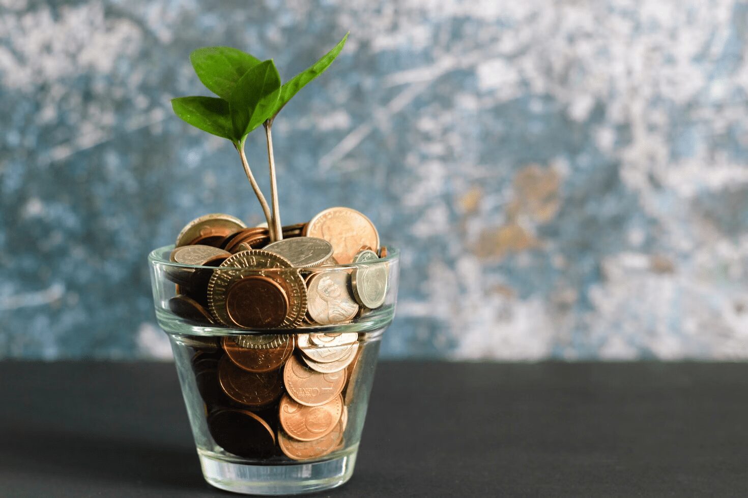 A glass jar filled with coins, featuring a green plant sprouting from the top, set against a textured blue background.