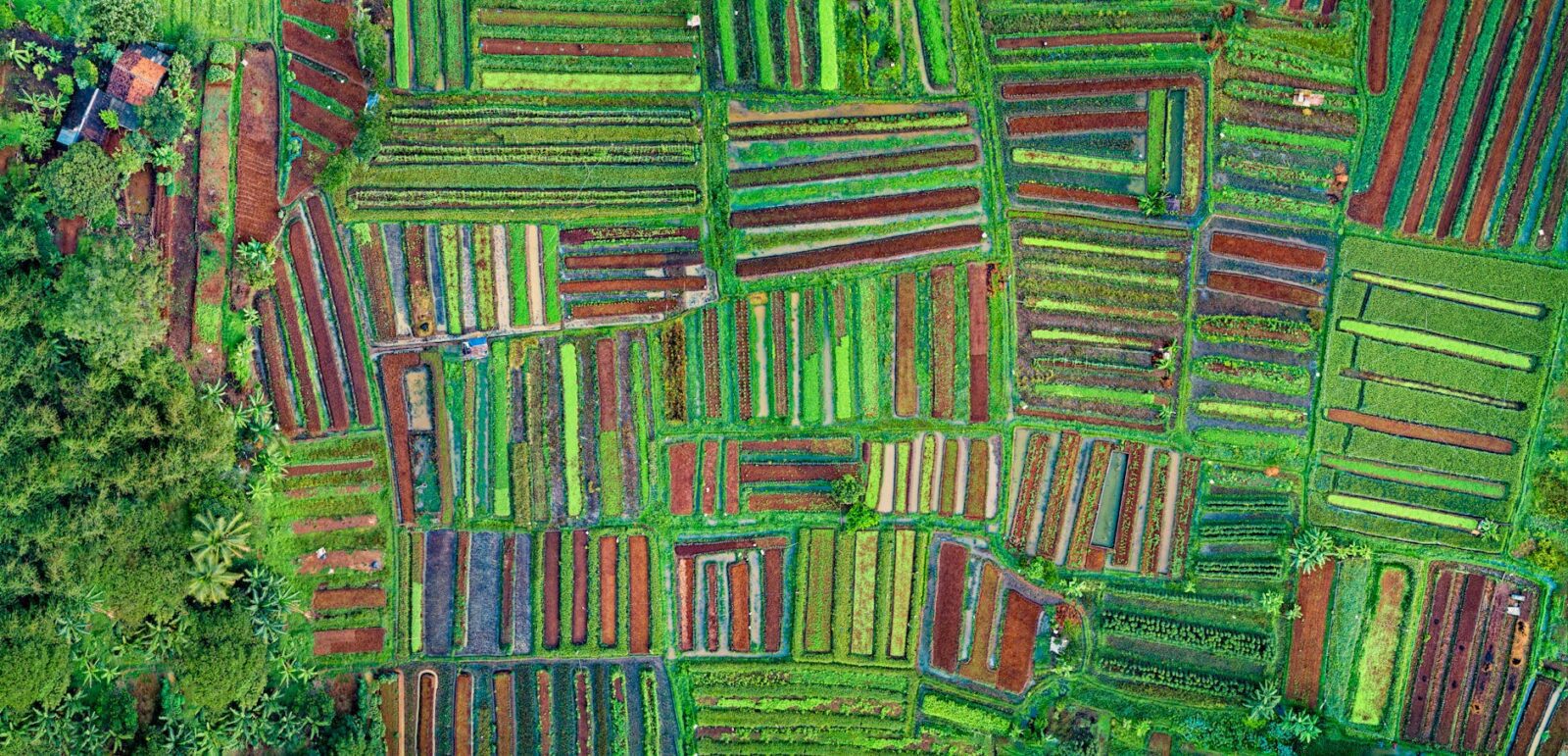drone shot of cropland 9 Tips to Plan Ahead for the Next Farming Season