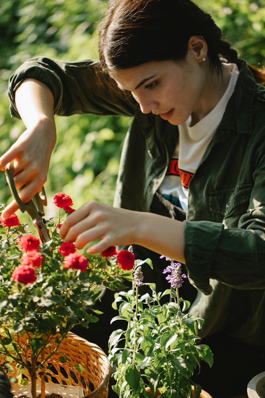 ethnic woman cutting stems of flowers Spring Garden Prep Guide: Simple Upgrades with Big Impact