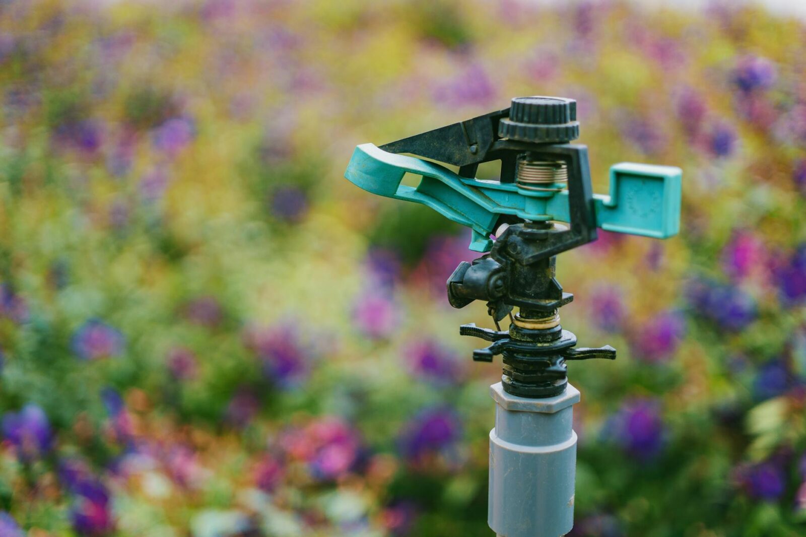 black and blue garden hose Rural Tech Tools That Make Country Living Easier