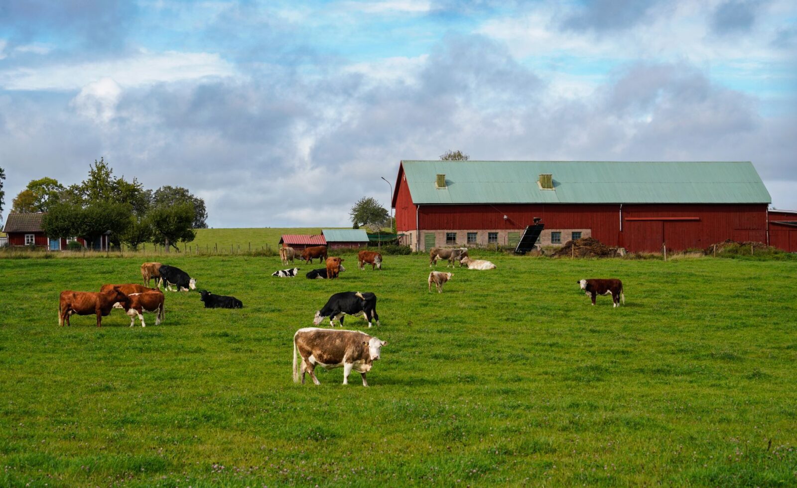 Rotational Grazing