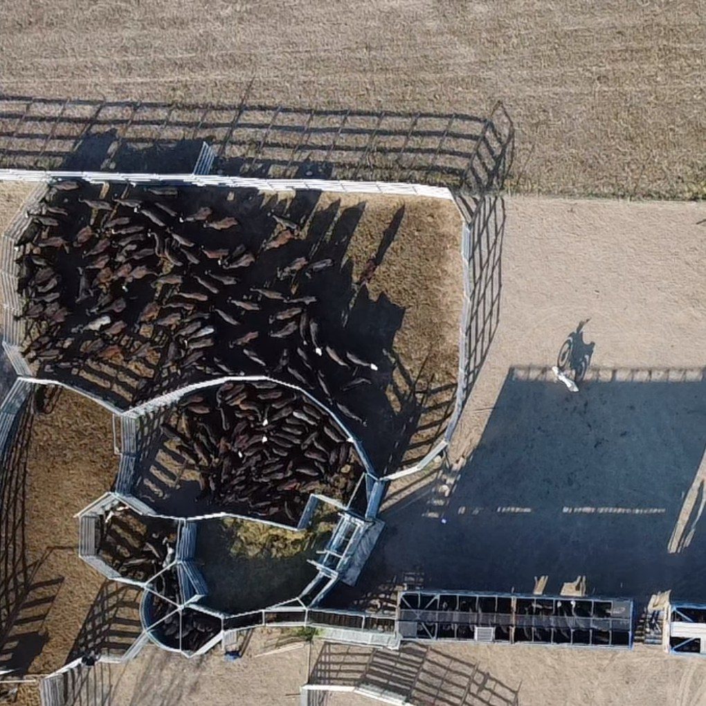 Cattle Fence Design: Planning Corrals, Gates, and Working Pens 6 4 Rivers Ranch: Cattle Gate Design Features