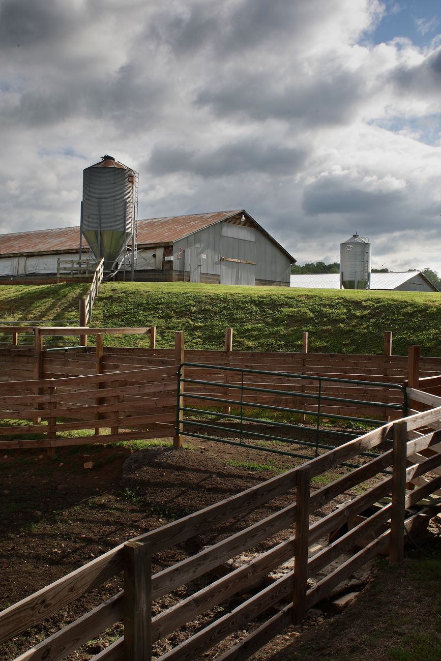 Cattle Fence Design: Planning Corrals, Gates, and Working Pens 11 brown wooden fence Cattle Fence Design: Planning Corrals, Gates, and Working Pens
