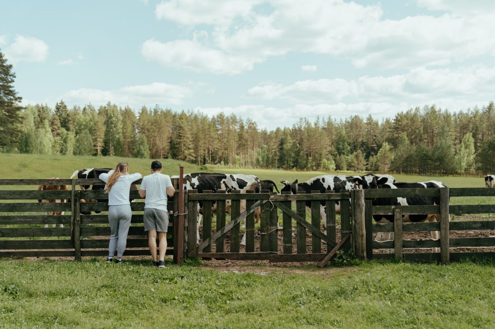 Cattle Fence Design: Planning Corrals, Gates, and Working Pens 10 people standing on green grass field